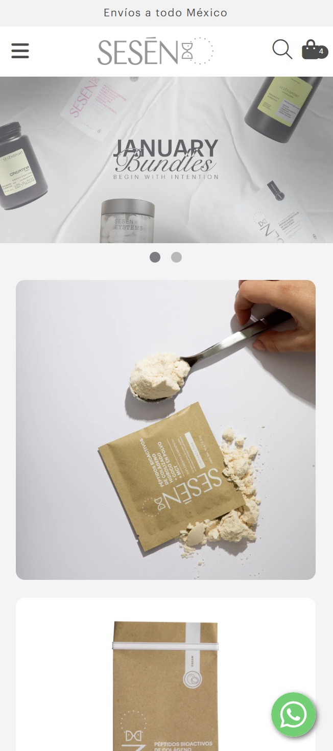 Sesen website preview