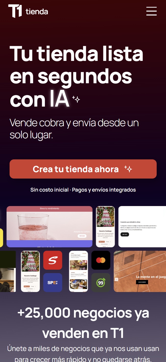 T1 website preview
